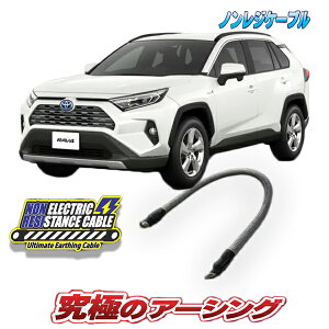 RAV4@nCubhԐp@mWP[u@GW