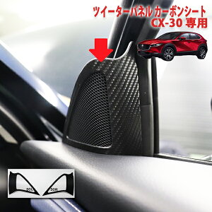 CX-30@cC[^[plV[g