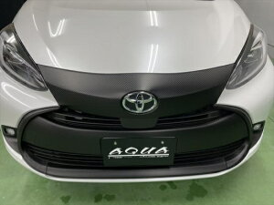 g^AQUA@PK10n@tgOV[g
