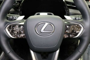 LBX�@�X�e�A�����O�X�C�b�`�V�[�g