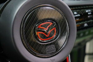 CX-80�@�X�e�A�����O�G���u�����C���i�[�V�[�g ���C������