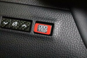 NEGXe[g@ODO TRIPXCb`V[g