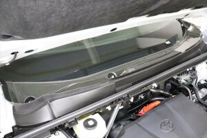 RAV4 60�n�@���C�p�[�J�E���V�[�g