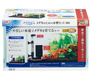 GEX _JC _Ĵ߂̐Zbg300KX