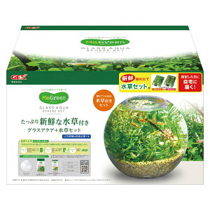 GEX MeGreen VNȐt OXANAXtBAZbg