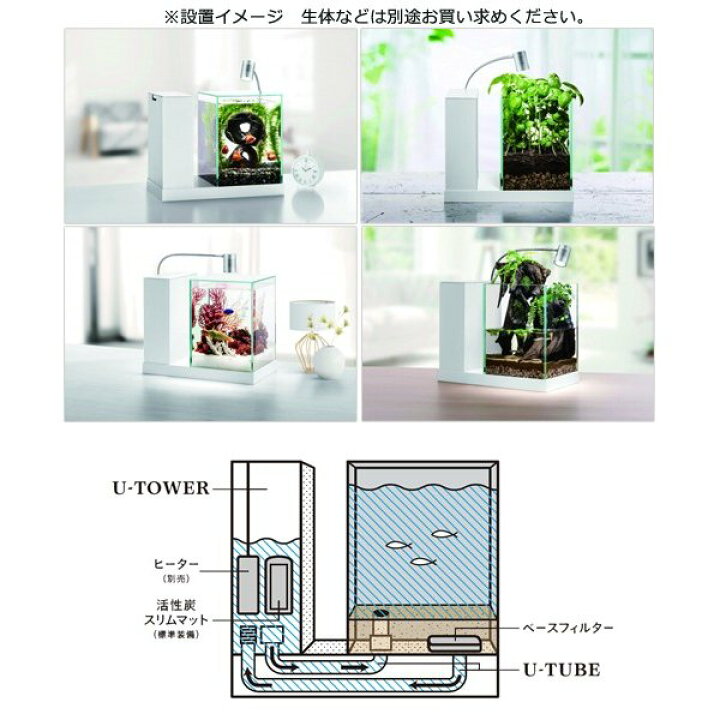 楽天市場】GEX AQUA-U (アクアユー)オールインワン水槽セット  