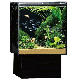 楽天市場 水槽 水槽 アクアリウム 熱帯魚 アクアリウム ペット ペットグッズの通販
