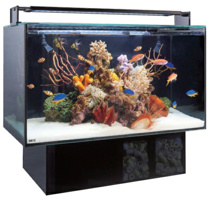 楽天市場】GEX グラステリア アグス AGS OF-450オーバーフロー水槽  