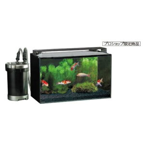 鯉 飼育 水槽の人気商品 通販 価格比較 価格 Com 鯉 飼育 水槽の人気商品 通販 価格比較 価格 Com