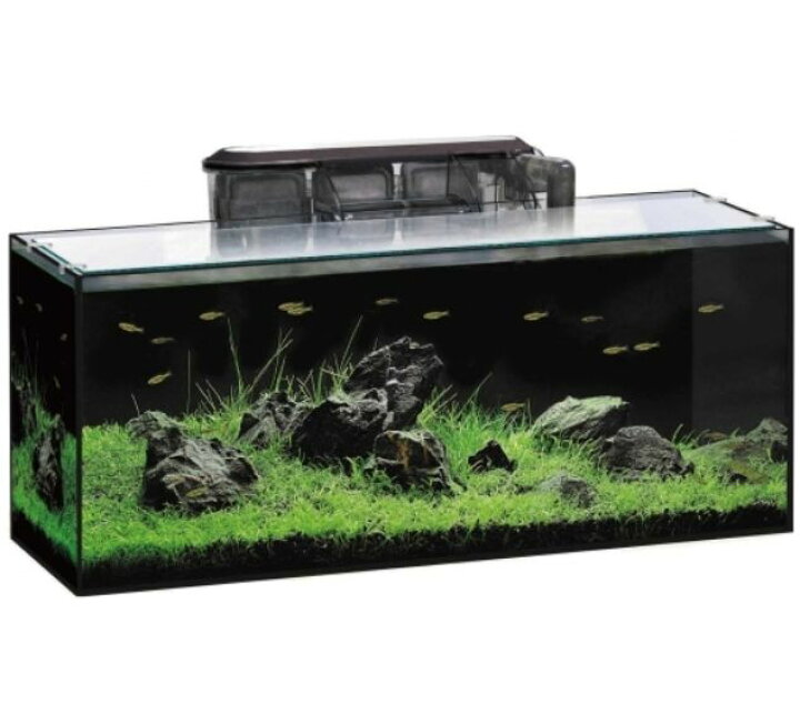 楽天市場 Gex グラステリアbz 600s高品質ガラス水槽 Aquarium Zenith