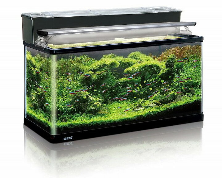 楽天市場】GEX ラピレスRV90 LEDセット曲げガラス水槽 : Aquarium Zenith