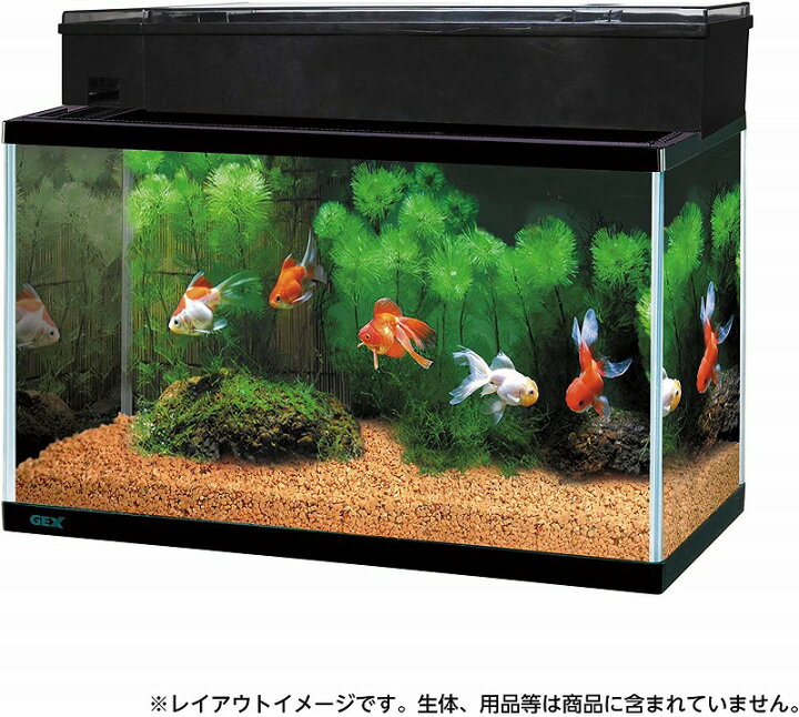 楽天市場】GEX マリーナ幅60cm水槽SLIM MR600BKS-Nガラス水槽  