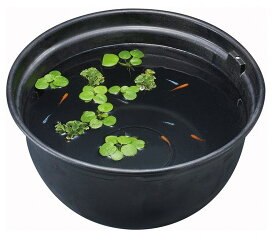 楽天市場 金魚鉢 屋外の通販 楽天市場 金魚鉢 屋外の通販