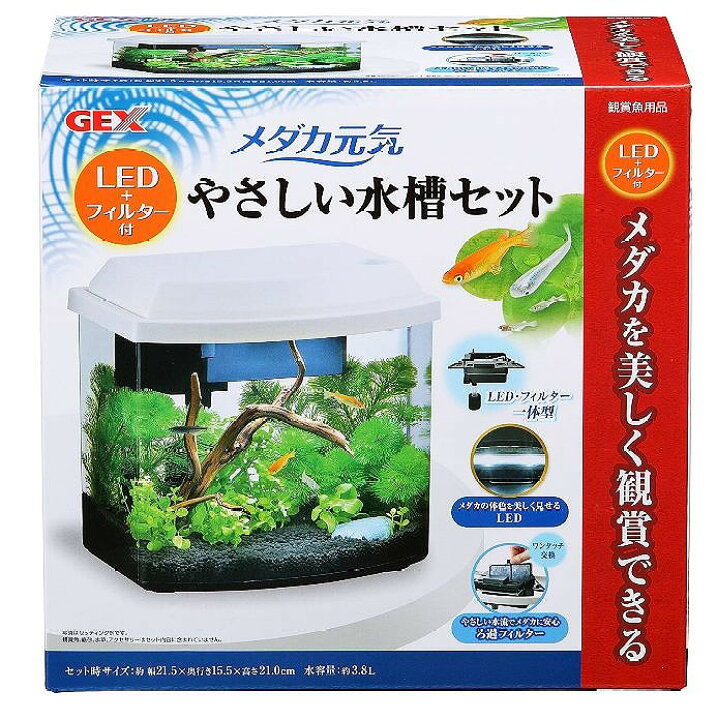 楽天市場 Gex メダカ元気led フィルター付やさしい水槽セット Aquarium Zenith