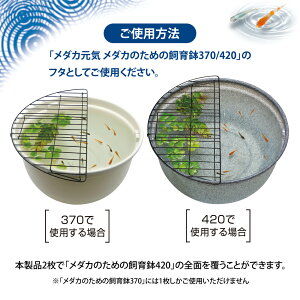 GEX _JC_Ĵ߂̎甫pt^