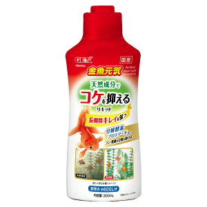 GEX C RP}郊Lbh300mL