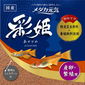 GEX _JC ʕP YEɐBp 100g