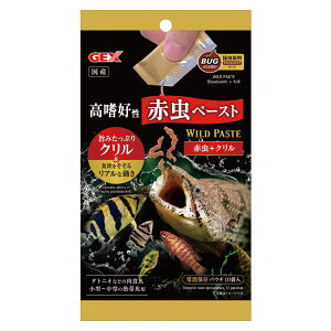 GEX Chy[Xg Ԓ+N 10ܓ