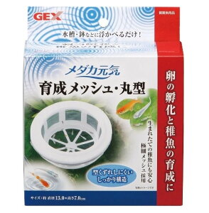 GEX _JC琬bVEی^̛z t̕ی