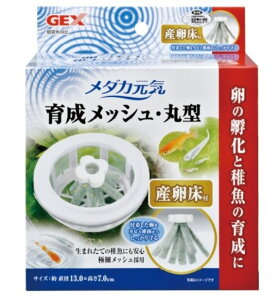 GEX _JC琬bVEی^ Yt̛z t̕ی