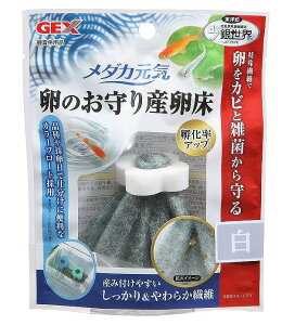 wňlE݌ɌxGEX _JĈYO^Cv20Zbg