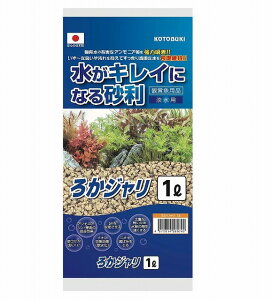 RguLH| 납W1LKOTOBUKI