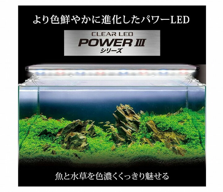 楽天市場 Gex クリアled Poweriii 300 Aquarium Zenith
