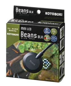 RguLH| ~jLED r[Y ubNKOTOBUKI