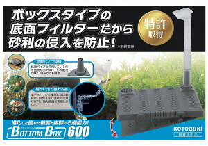 RguLH| {g{bNX600 KOTOBUKI