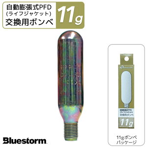 CtWPbg c p {x 11g iԍ6001  i  p[c K~ BLUESTORM