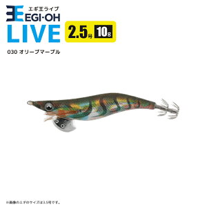 }V^ GM Cu 2.5^10g^75mm a A[ CJނ GMO YAMASHITA