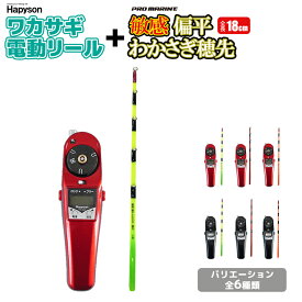 ワカサギ特価セール Hapyson ワカサギ電動リール YH-202 1個 + PRO MARINE 敏感偏平わかさぎ穂先 18cm 1本 2点セット