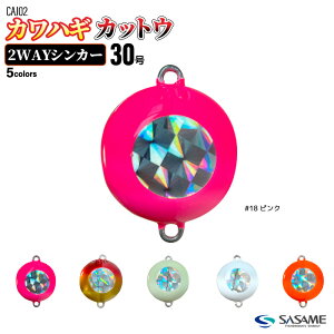 I JnM JbgE2WAYVJ[ 30 ނ zO CAJ02 I ʂ tO tBbVO SASAME TT