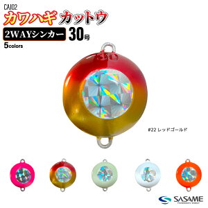 I JnM JbgE2WAYVJ[ 30 ނ zO CAJ02 I ʂ tO tBbVO SASAME TT