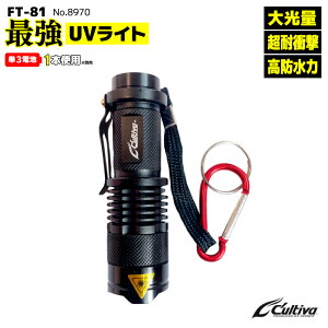 ŋUVCg ނ  ϏՌ h OCg Jri Xgbvt drʔ FT-81 No.8970 Cultiva I[i[΂