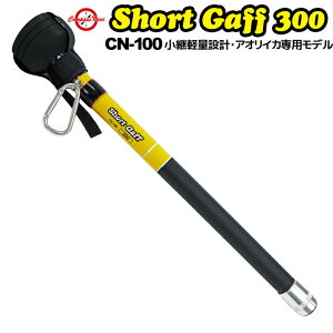 CJMt V[gMt 300 CN-100 pyʐ݌v ނ AICJpf CompassNavi ^JY