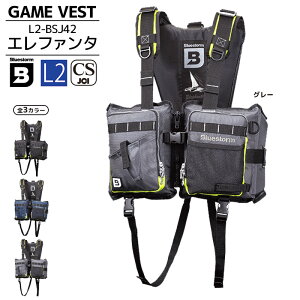 CtWPbg Q[xXg ނ Gt@^ L2-BSJ42 ^CvL2 W[p BLUESTORM u[Xg[ K~ Ôg΍