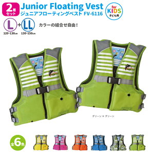 CtWPbg 2Zbg qp WjAt[eBOxXg FV-6116 L+LL J[gR t@CWp ނ Vт ǂp