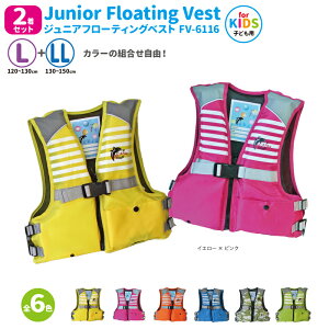 CtWPbg 2Zbg qp WjAt[eBOxXg FV-6116 L+LL J[gR t@CWp ނ Vт ǂp