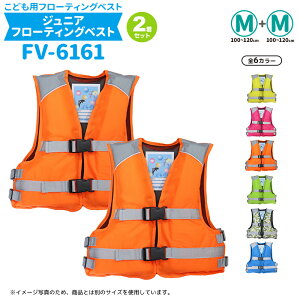 2Zbg q ǂp CtWPbg ȈՃWjAt[eBOxXg FV-6161 TCYg6ނI ނ  C Vт t@CWp