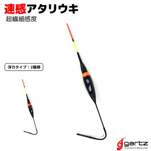 EL A^EL 2B/B @׊x ނ t@Co[gbv dCEL gartz