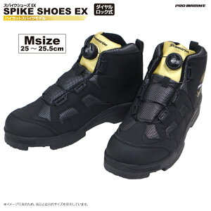 iijjXpCNV[YEX FSA104 tBbVOV[YnCJbgf ނ ubNS[h v}