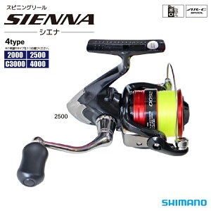V}m XsjO[ 19 VGi SIENNA ނ SHIMANO tBbVO Ȃ