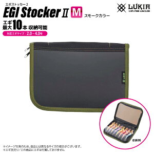 GMXgbJ[2 MTCY ނ ABK565 24×17cm 2.0`4.0Ή CJGM10{[ X[NJ[ GMP[X ނ GMp[P[X LUKIA