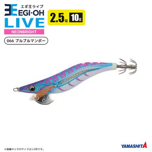 }V^ GM Cu lIuCg 2.5 10g^60mm z a A[ CJނ GMO YAMASHITA