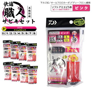 _C KElTrLZbg PCsN \tgA~Gr5{ DAIWA A~JSI12 }3cm TrLނ d| NAXi