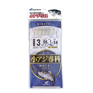 AW XL ނ HS250 h ˎ 6{b1Zbg TrLd| Hayabusa NAXi