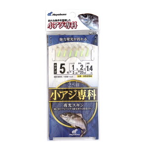 AW XL ނ HS250 h ˎ 6{b1Zbg TrLd| Hayabusa NAXi