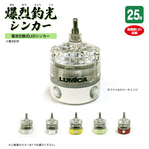 Ă ތVJ[ 25 ނ PxLED ϐ100m W I JnMނ LUMICA