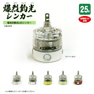 Ă ތVJ[ 25 ނ PxLED ϐ100m W I JnMނ LUMICA